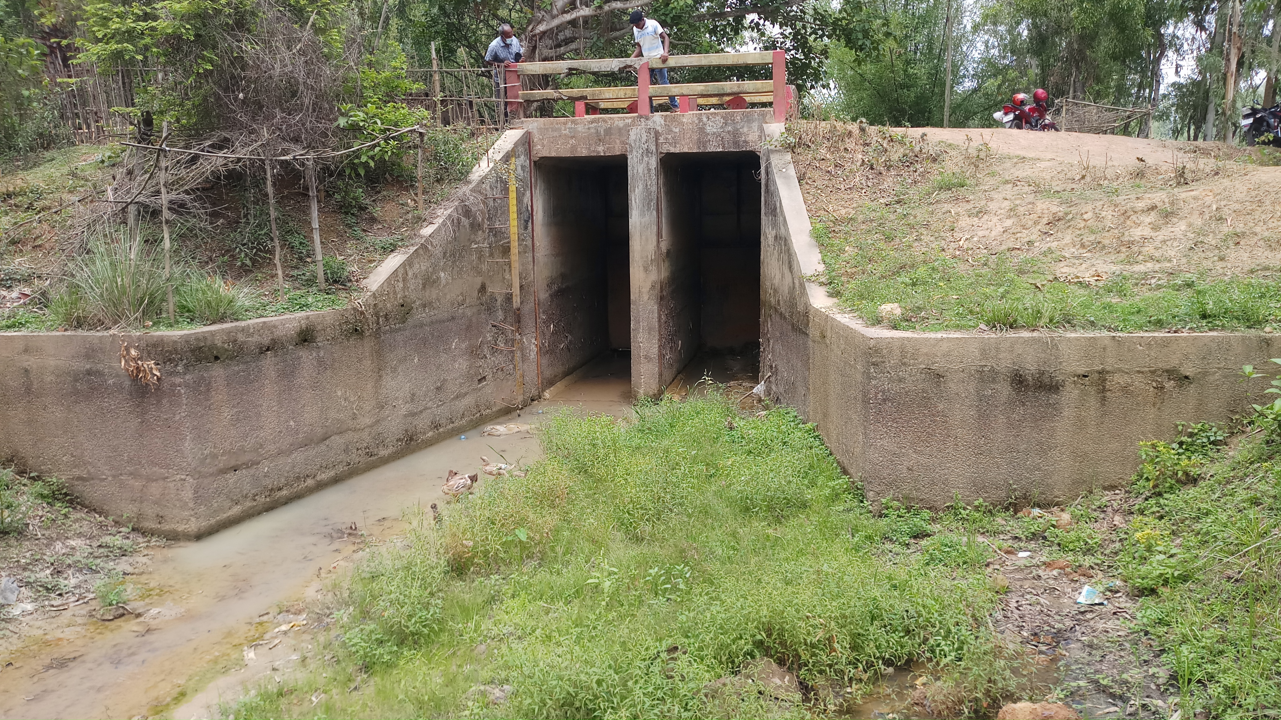 চারালকাঠি সুইচগেট