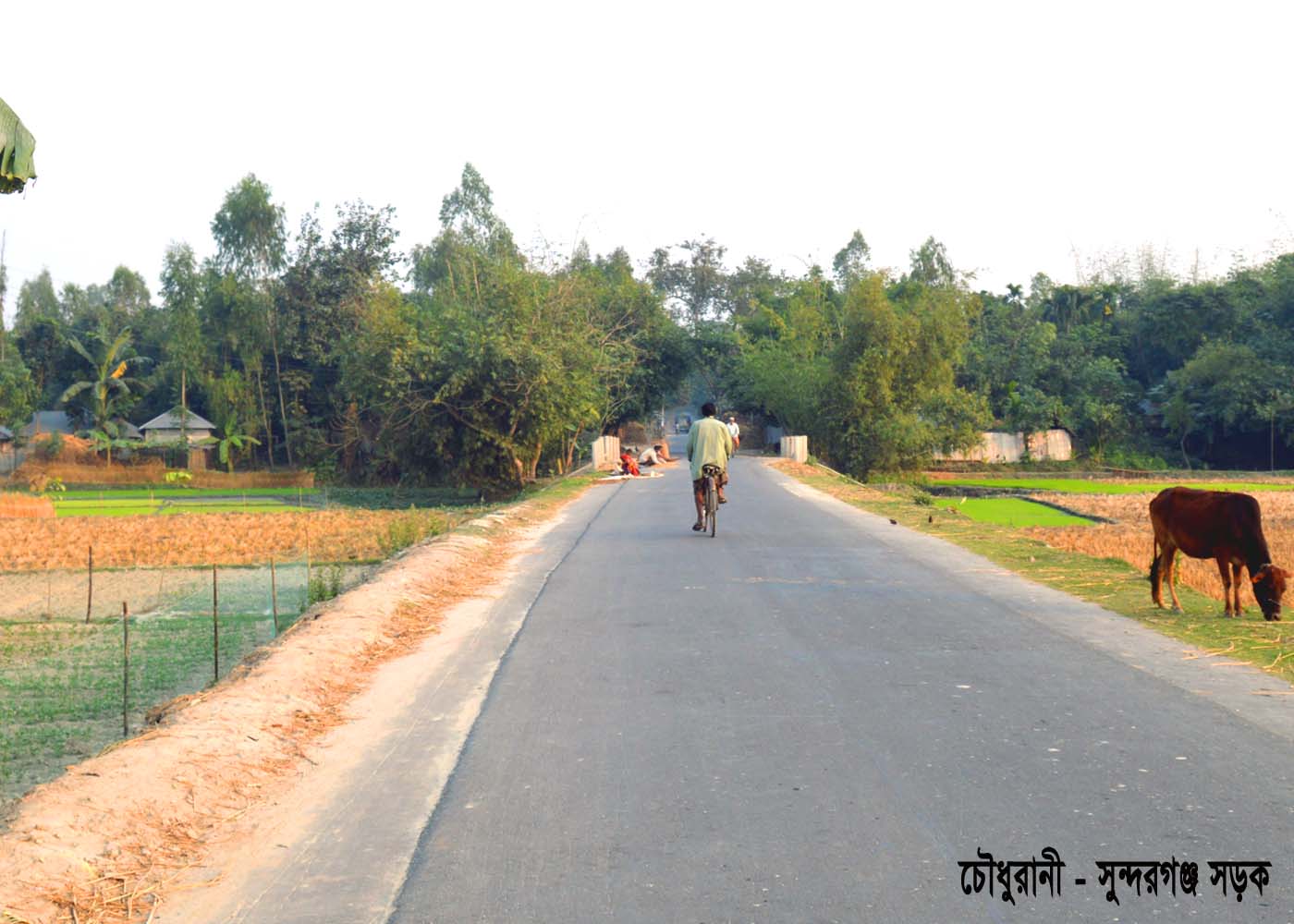 সড়ক উন্নয়ন