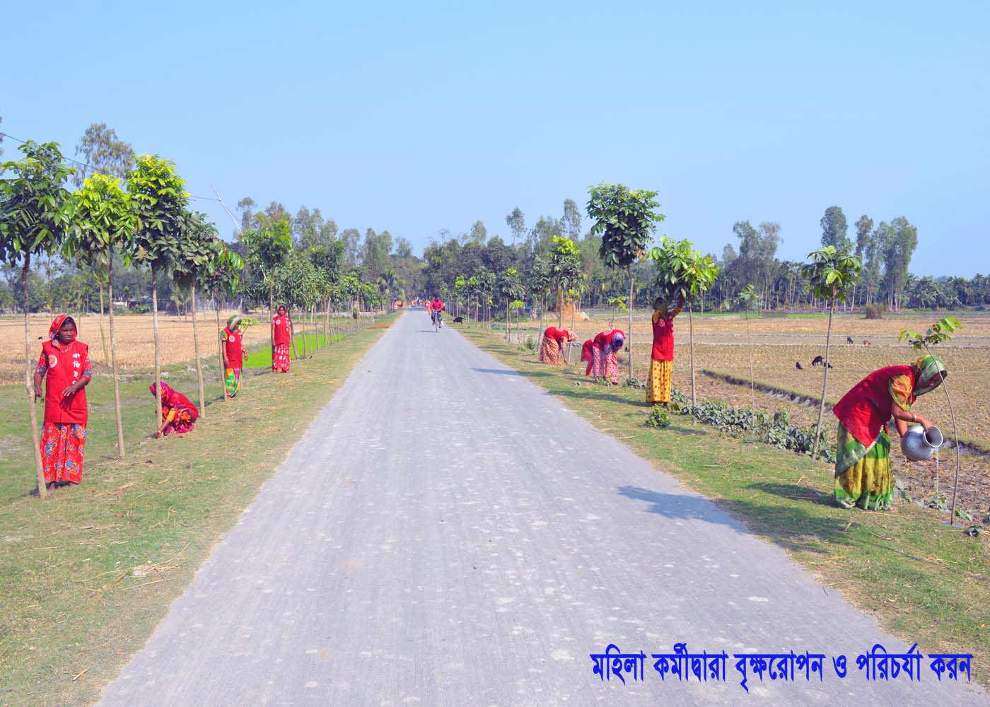 মহিলা কর্মী দ্বারা সড়ক রক্ষণাবেক্ষন ও বৃক্ষ রোপন ও পরিচর্যা করন