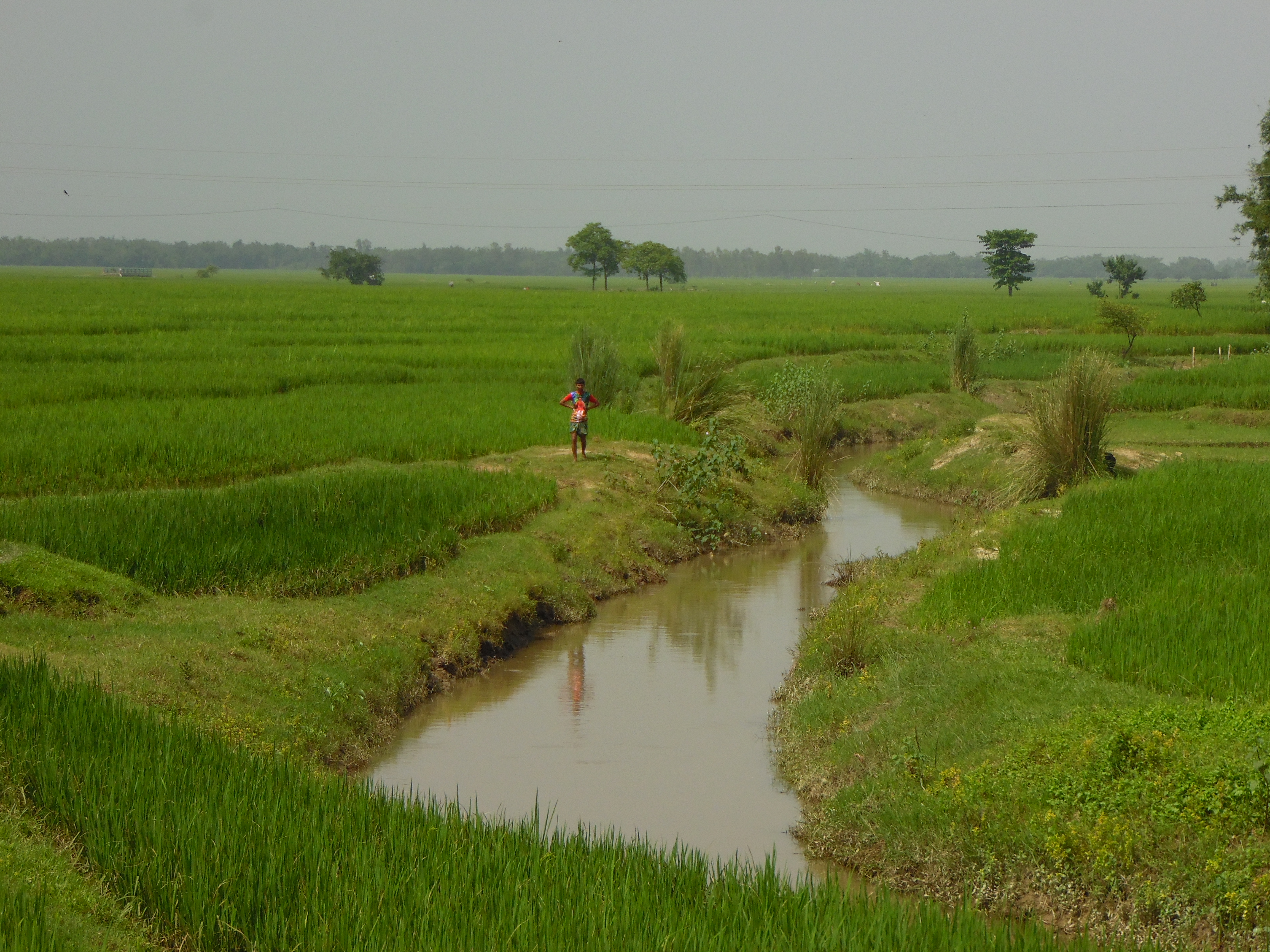 পাবসস এর খাল খনন কার্যক্রম