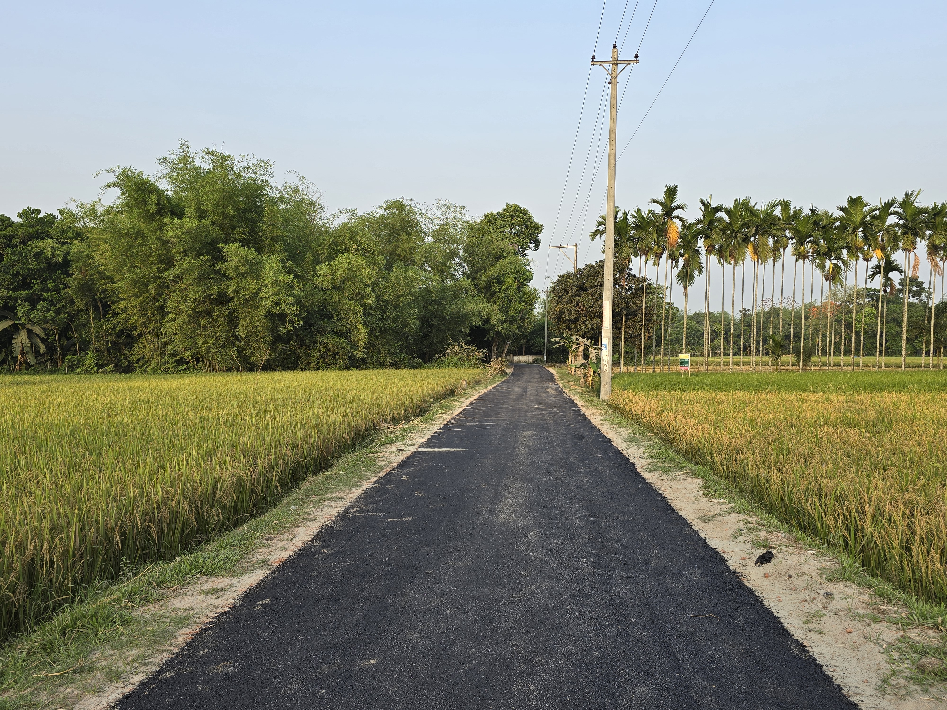 গ্রামীণ সড়ক