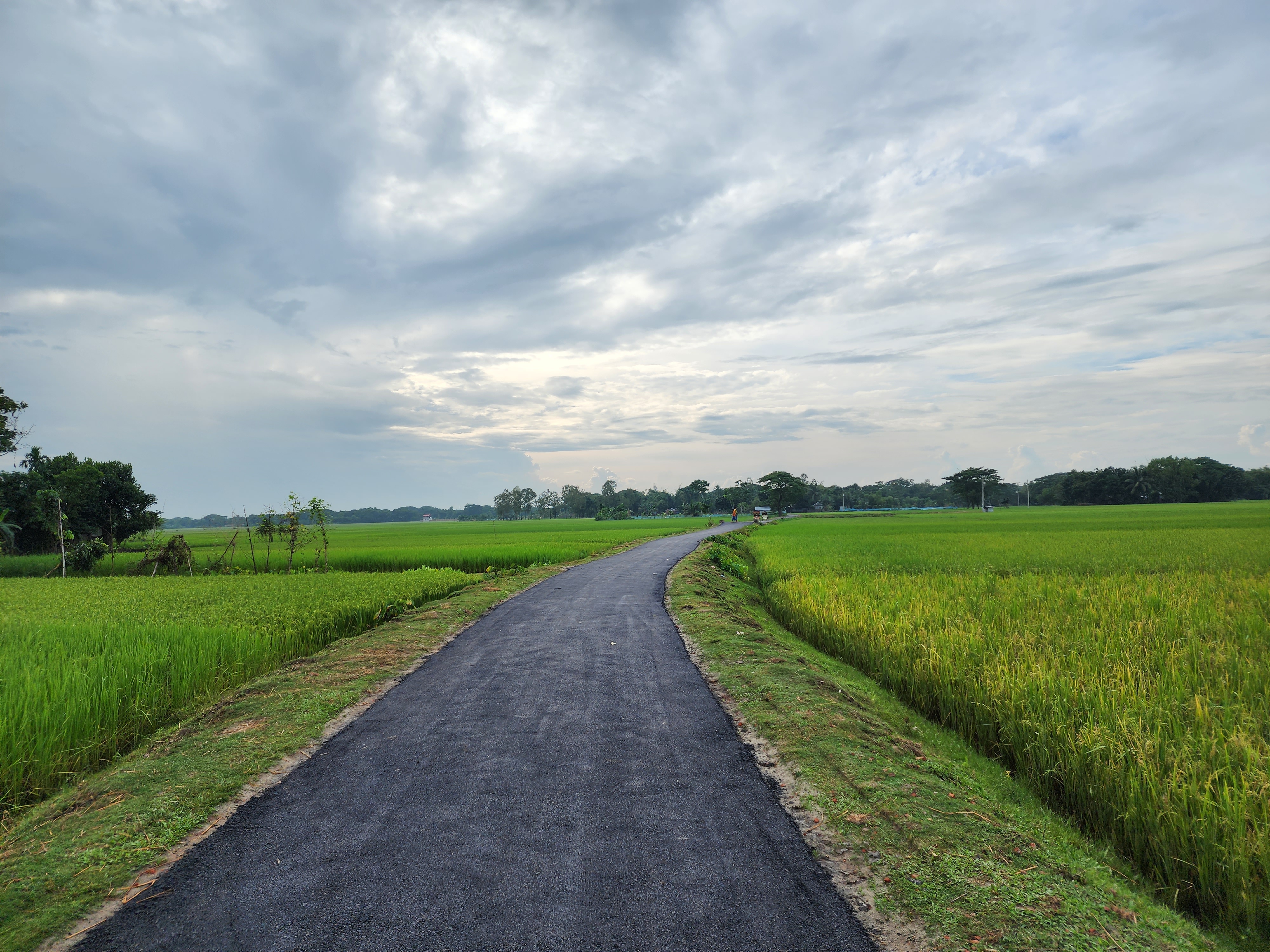 ইউনিয়ন সড়ক
