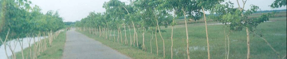 এলজিইডি রাজারহাট