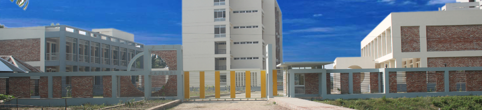 রাজবাড়ী পিটিআই