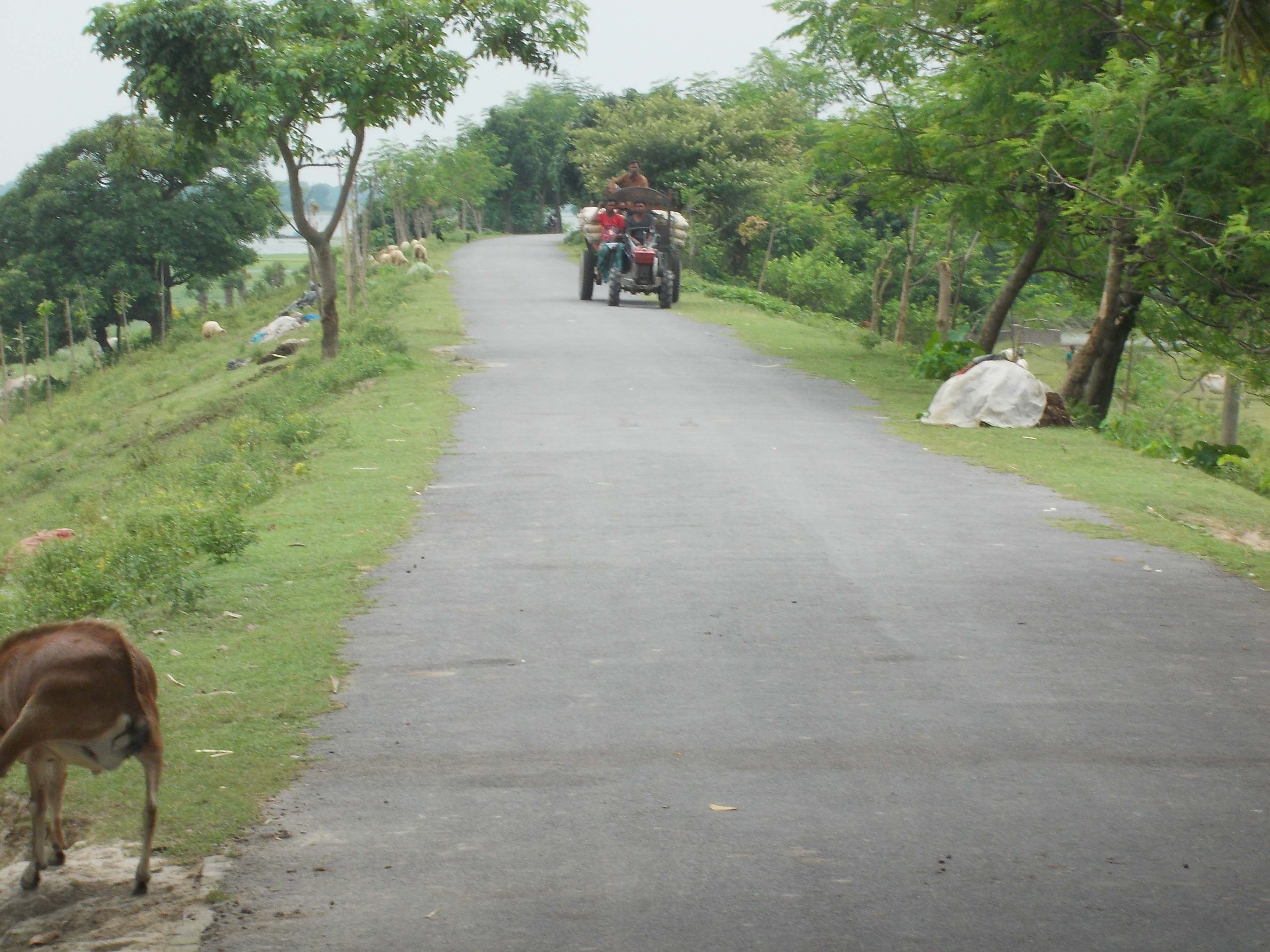 Trimohani GC-Bandaikhara GC Road