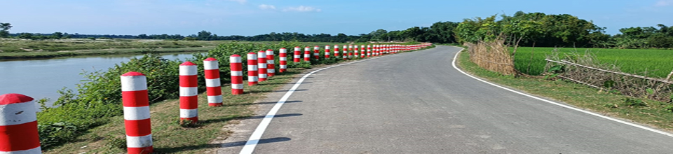 বালিয়াডাঙ্গী জিসি থেকে ধীরগঞ্জ জিসি রোড আইডি: 194862007