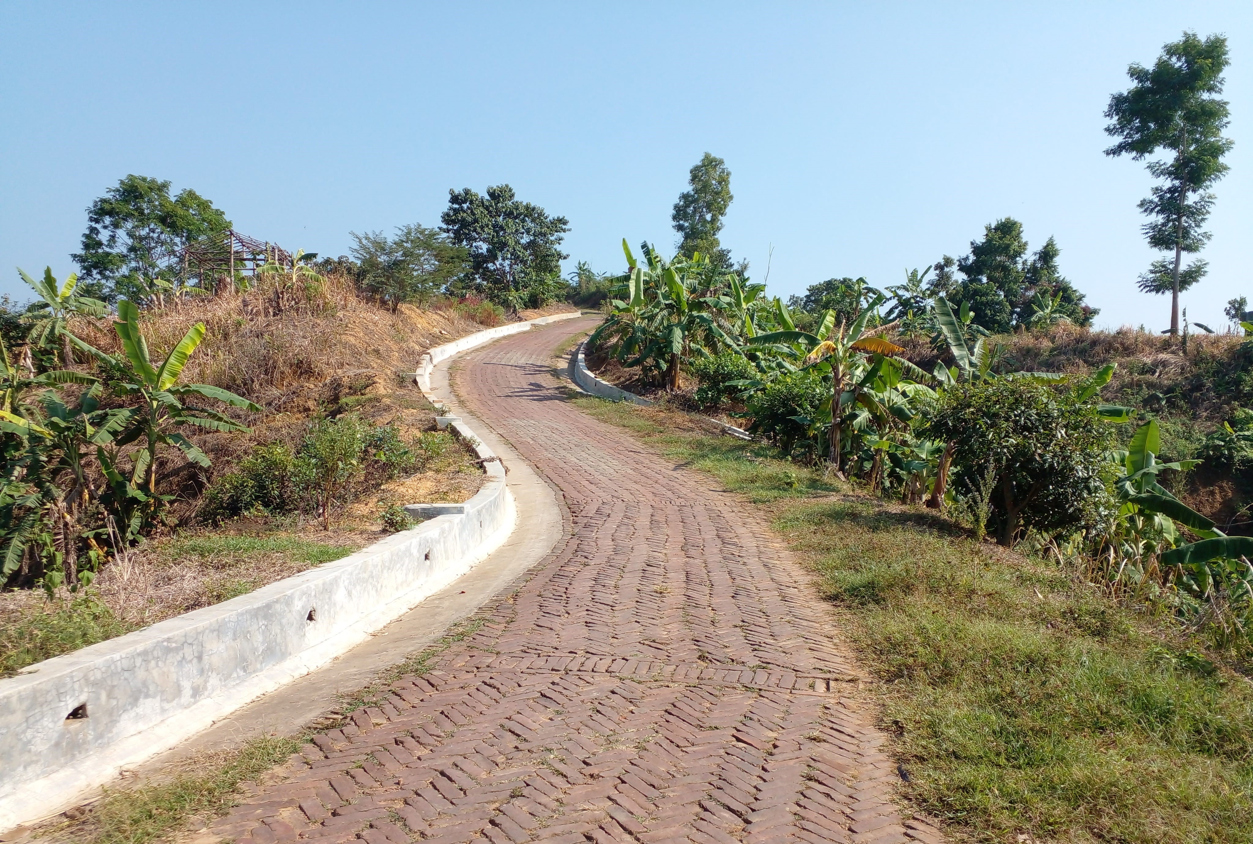 Rowangchari - Bangchari Road