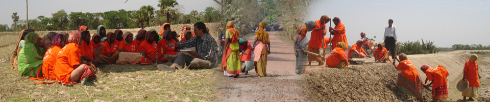 ব্যানার