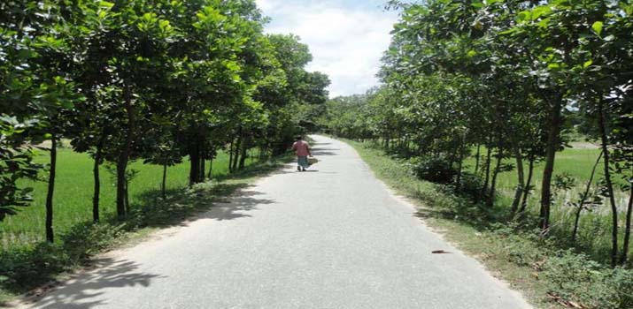 বাস্তবায়নকৃত প্রকল্পের ছবি