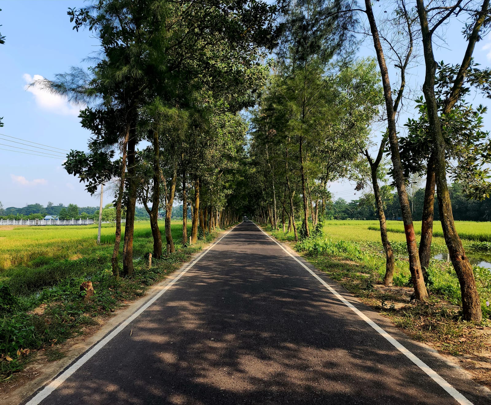 Road