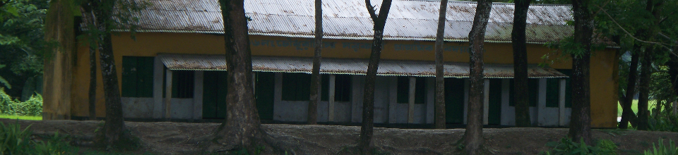 ব্যানার