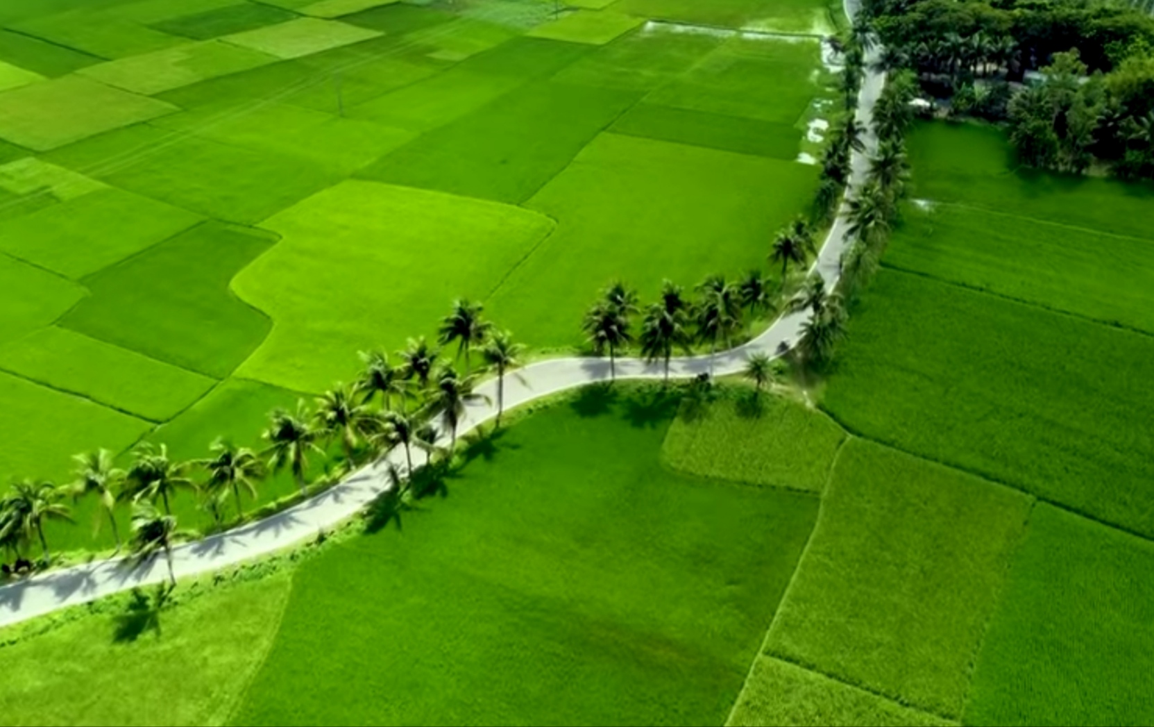 উন্নয়নমূলক কার্যক্রমের স্থিরচিত্র