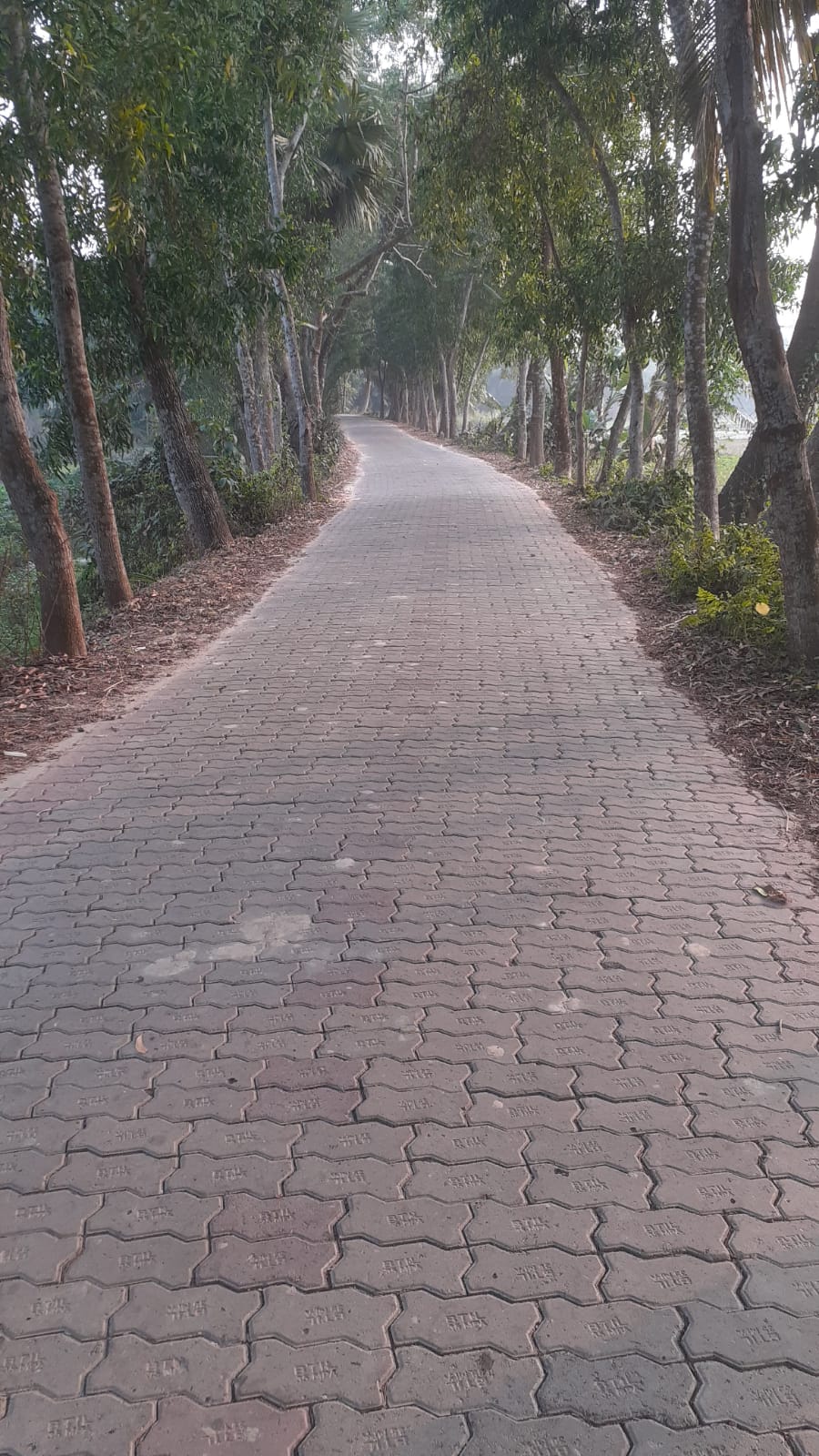 ইউনি ব্লক সড়ক