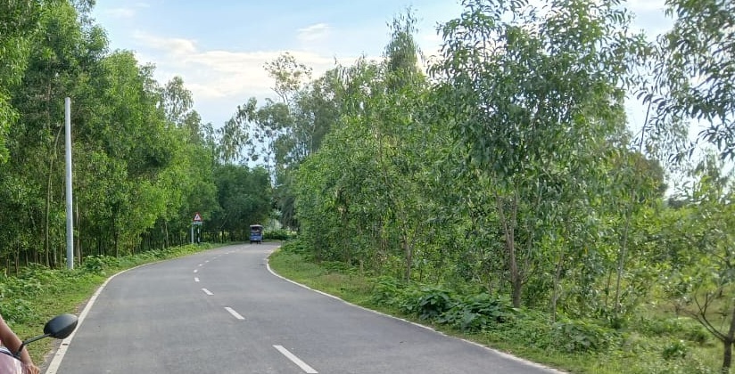 Road