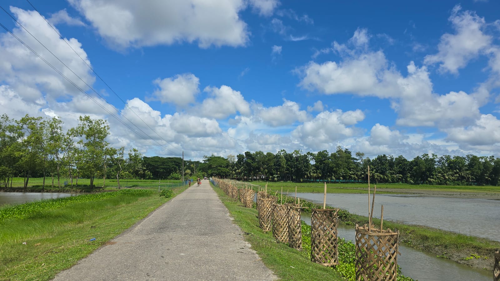 সড়ক নির্মাণ ও বৃক্ষ রোপন