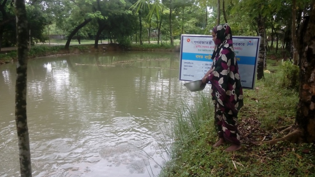 বসতবাড়ীর পুকুরে মাছ চাষ