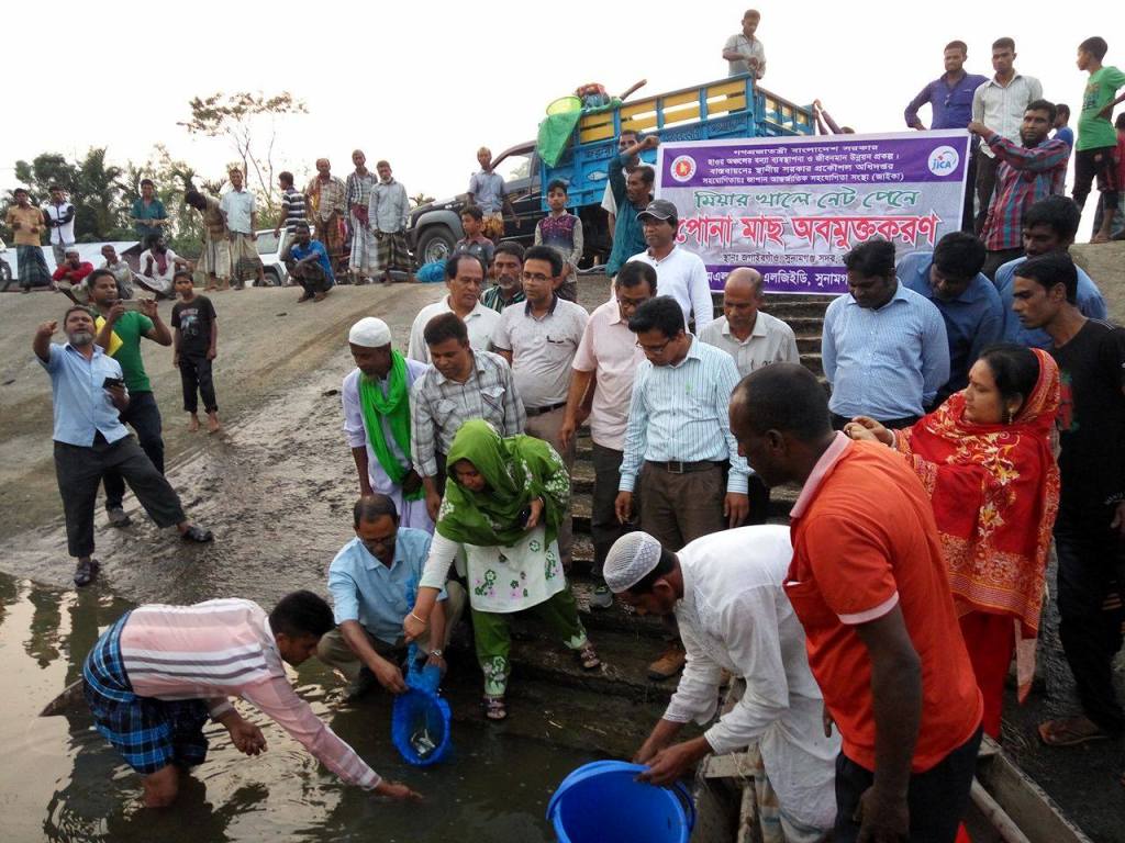 নেটপেন কালচার