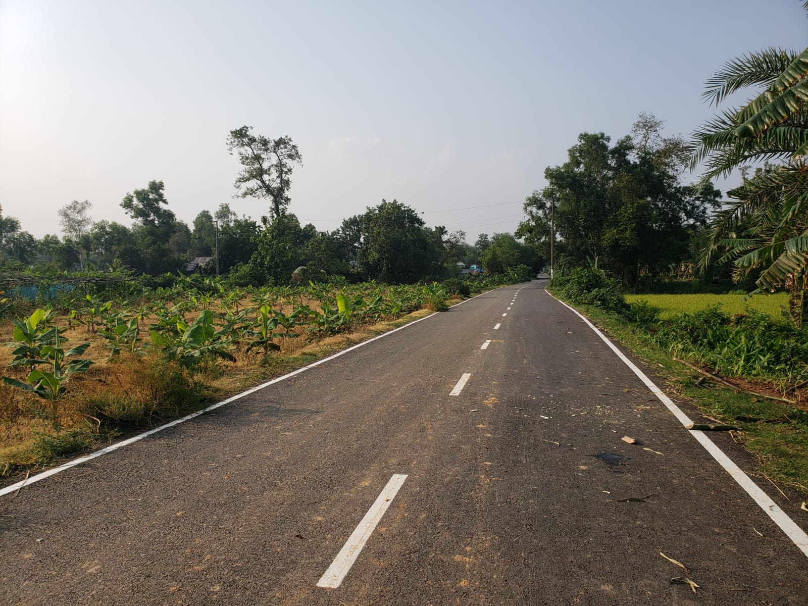 ফটো গ্যালারি