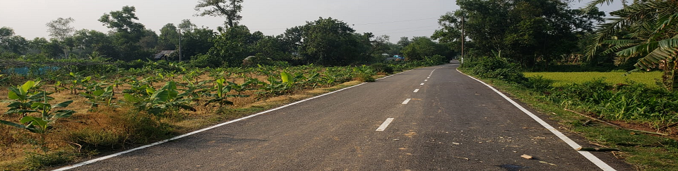 কালীদাস - বহুরিয়া রোড, সখিপুর, টাঙ্গাইল।