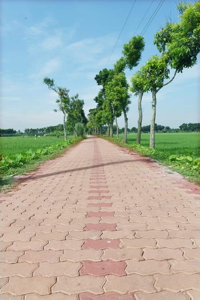 উপজেলা কমপ্লেক্স ভবন