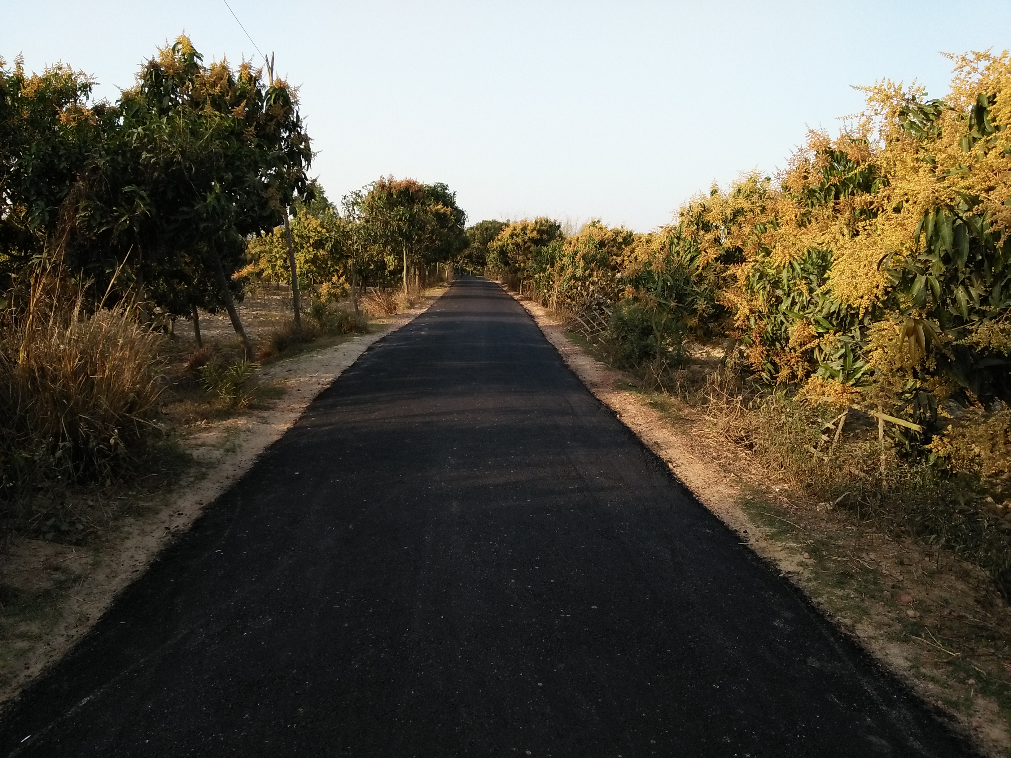 সড়ক রাক্ষানাবেক্ষন