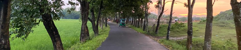 কার্পেটিং সড়ক