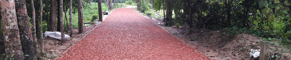 গ্রামীন সড়ক উন্নয়ন