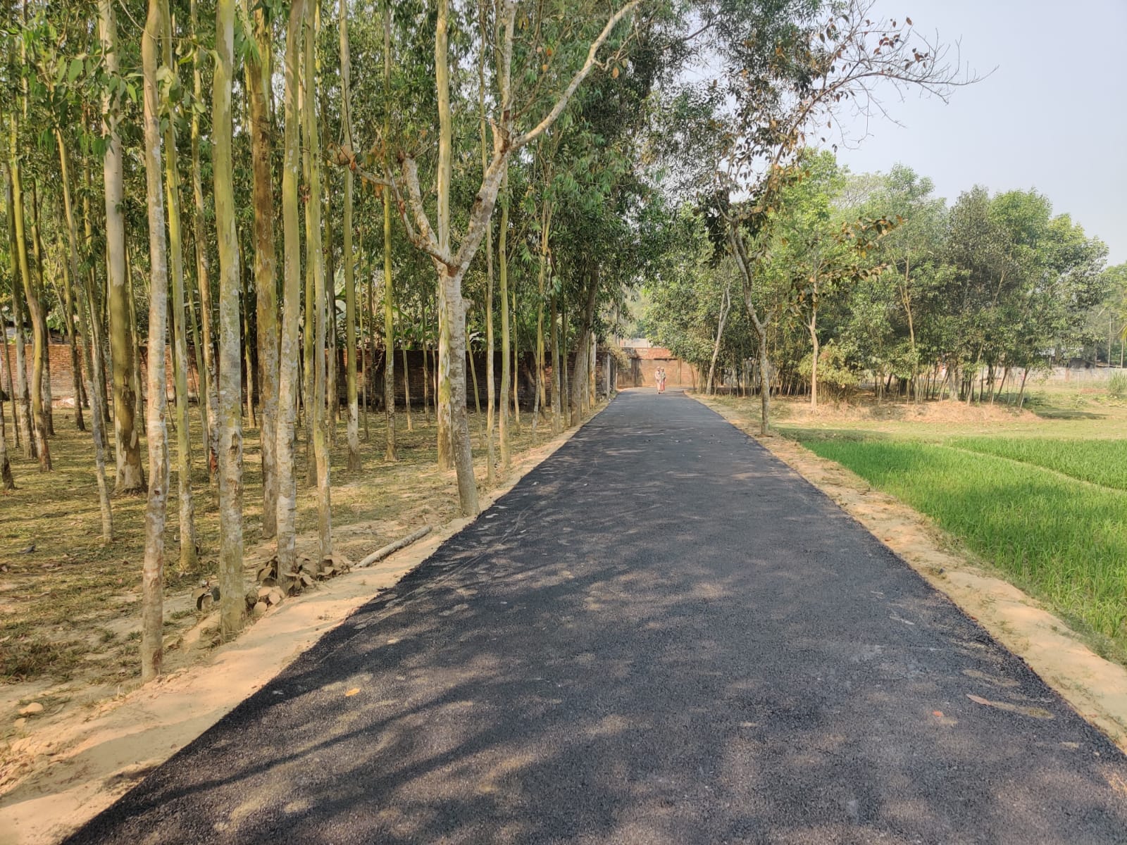 কার্পেটিং