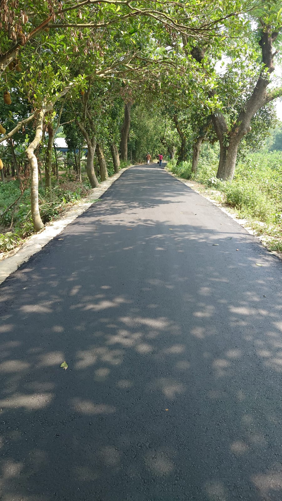 কার্পেটিং