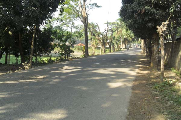 ফটোগ্যালারী