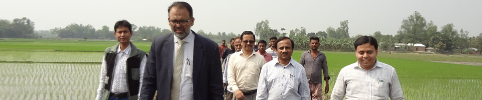 সাইট পরিদর্শন