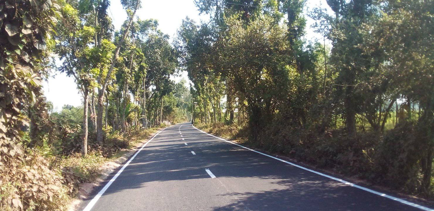 সোনাতলা২১-১০-২০২৫