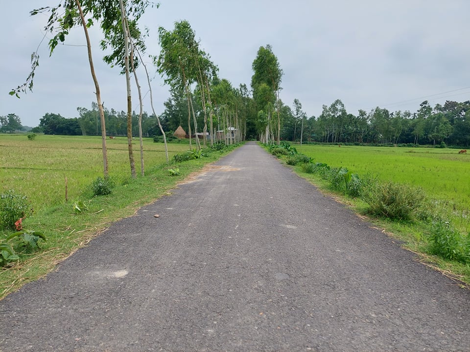 চিত্র ২