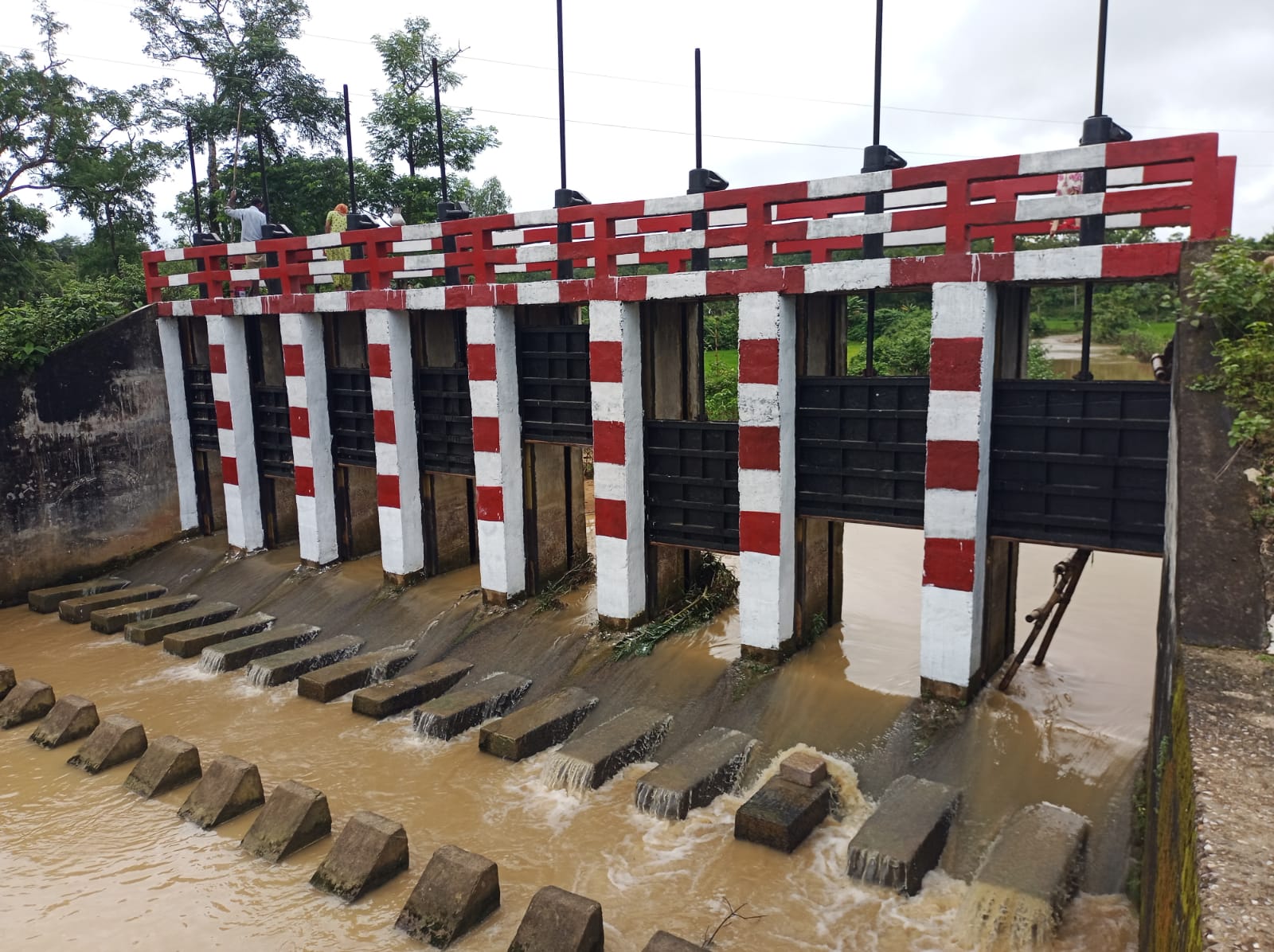 স্লুইস গেট