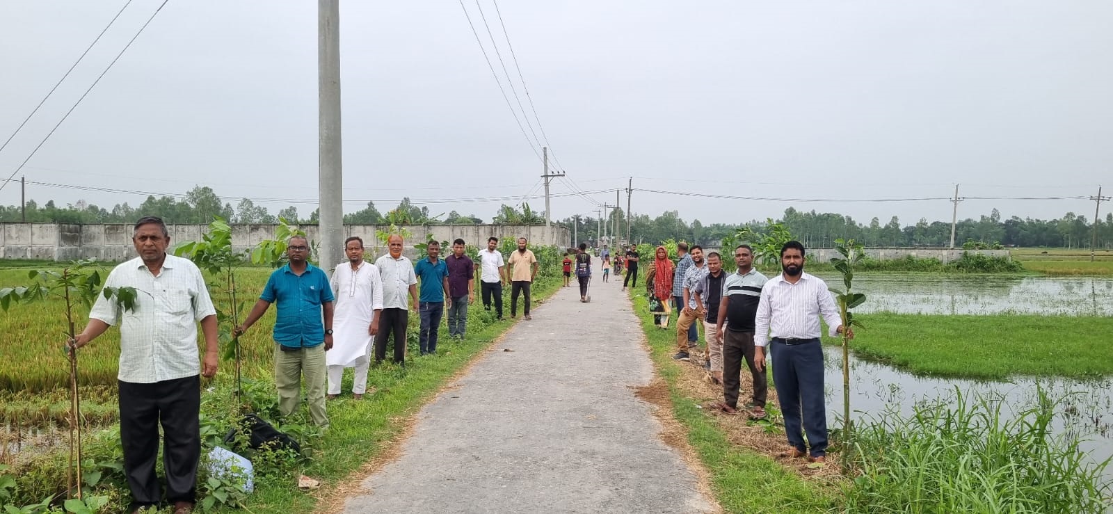 বৃক্ষরোপন কর্মসূচি