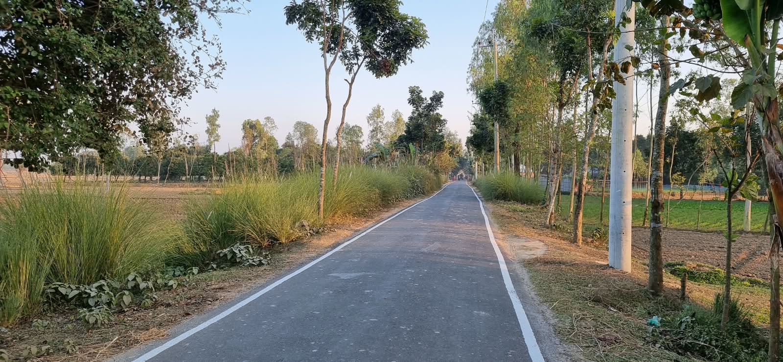 Upazila Road
