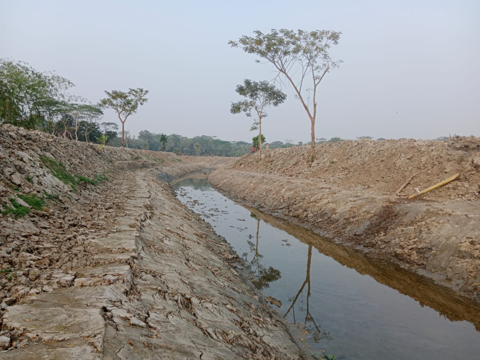 ফটো গ্যালারি