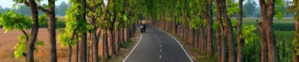 উপজেলা সড়ক