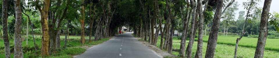 গ্রামের রাস্তা