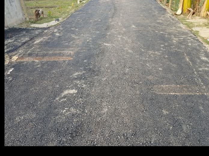 রাস্তা পরিদর্শনকৃত ছবি