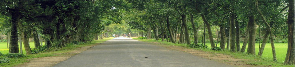 গ্রামীণ_সড়ক_ব্যানার