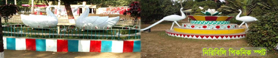 নিরিবিলি পিকনিক স্পট