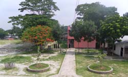 টোগ্যালারী