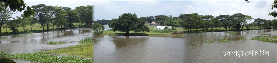 চকপাড়া ভেকি বিল