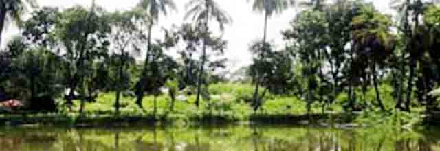 লতা ইউনিয়ন
