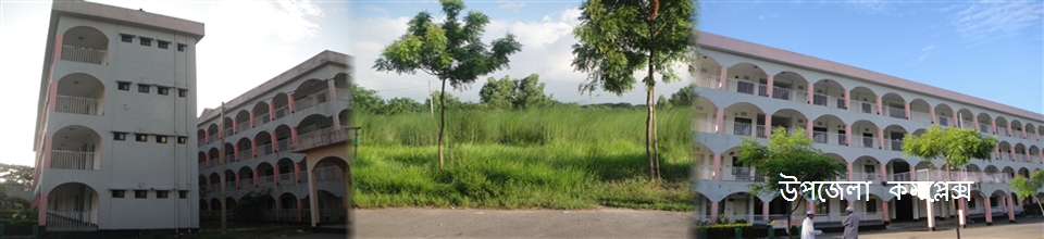 উপজেলা কমপ্লেক্স, লৌহজং