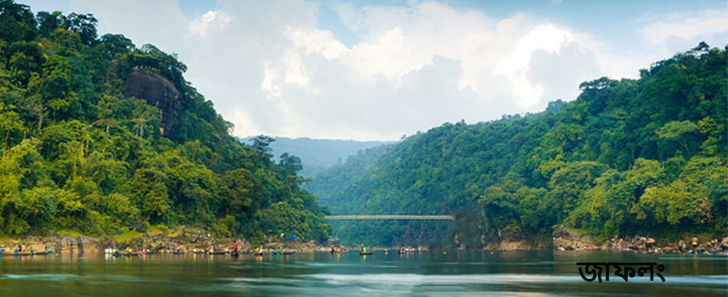 জাফলং