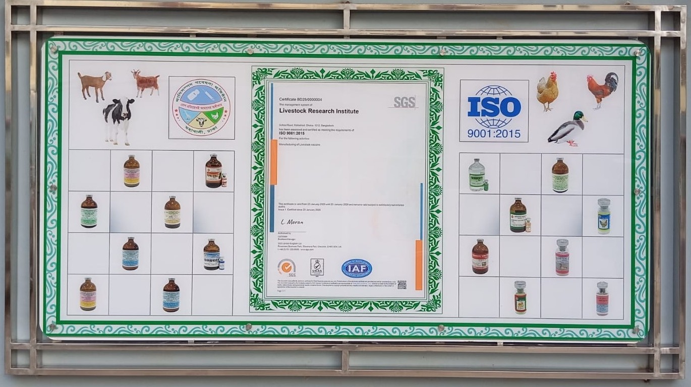 ISO 9001: 2015 Certificate