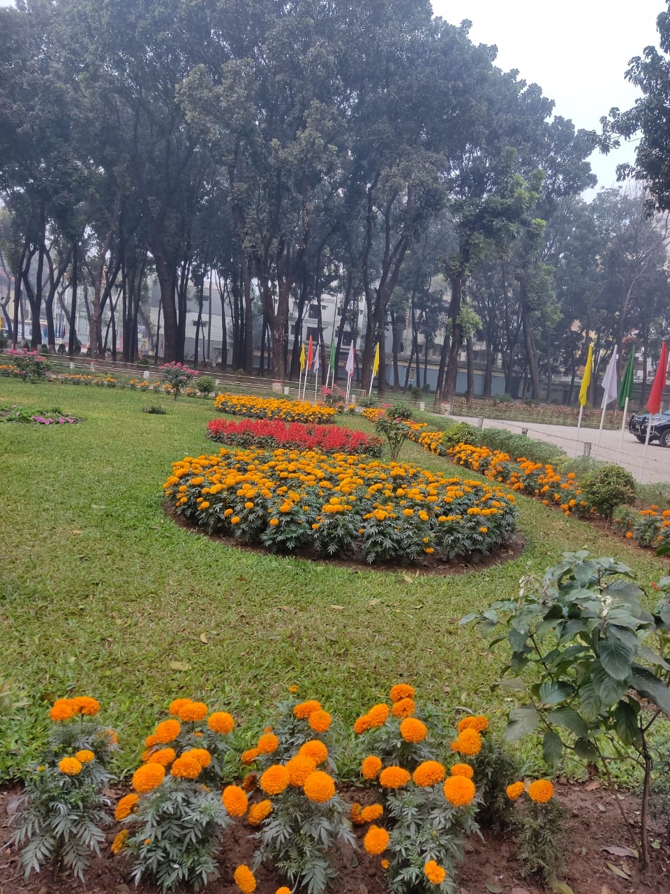 এলআরআই ফুলের বাগান