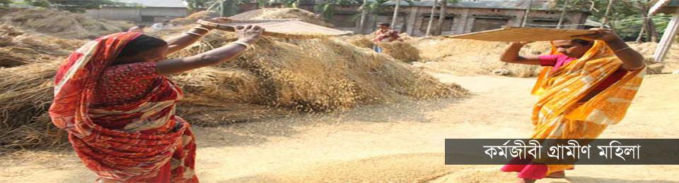 নুরুল্লাপুর কর্মরত গ্রামীন মহিলা